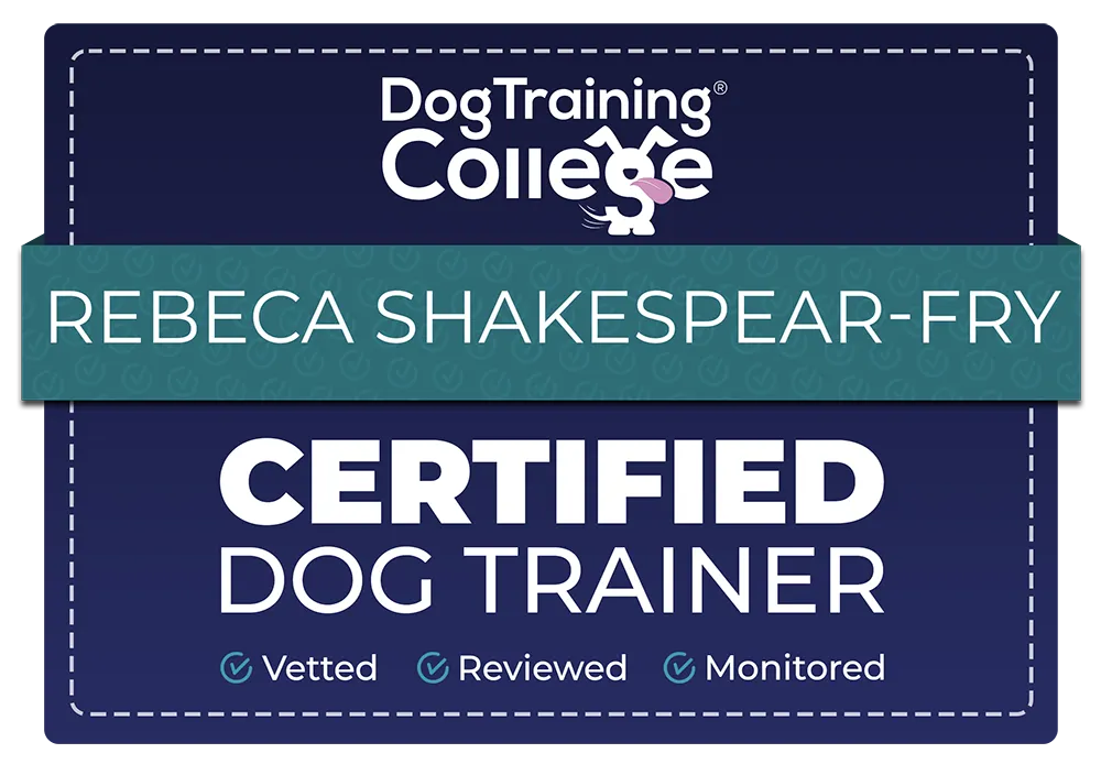 Cert digi badge